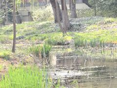 -楼外楼大刀肉传统火锅居(繁荣路店)