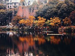 -重庆彩云湖湿地公园