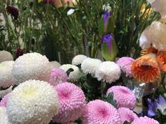 -植物学家的女儿(北马道巷店)