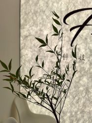 -FUMEIHUI·科技美肤·美体SPA