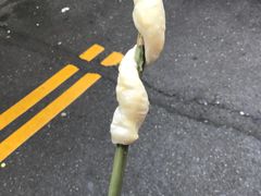 -日月潭