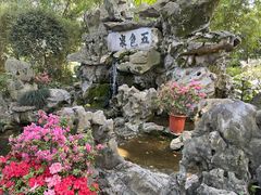 -上海醉白池公园