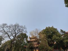 -宝通禅寺