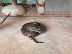 -上方山森林动物世界