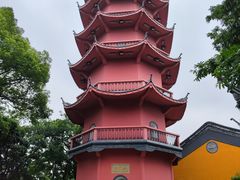 -惠山国家森林公园