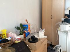 -中农国际动物医院24小时·猫科·骨科·急重症中心