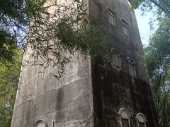 -开平碉楼文化旅游区马降龙景区