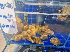 水产区-香满居张记小厨私房菜(青岛站店)