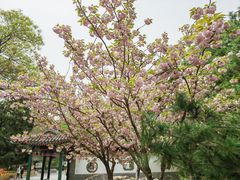 -宣武艺园