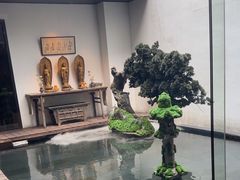 -觀芷隐轩