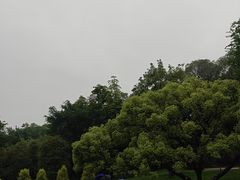 -云溪植物园