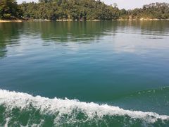 -广州市流溪河国家森林公园