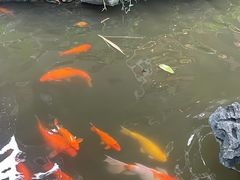 -南园酒家(前进路店)