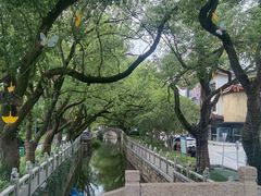 -安亭老街