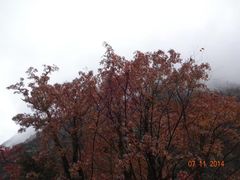 -叠溪松坪沟景区