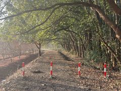 -广富林郊野公园