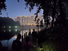 -重庆彩云湖湿地公园