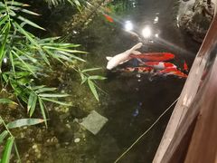 -聚缘堂·海鲜私房菜(松岭路店)