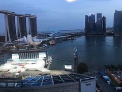 -新加坡文华东方酒店