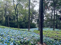 -临平公园(临平街道)