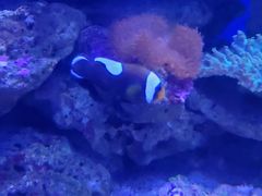 -青岛海底世界-水族馆