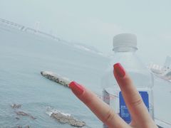 -星海湾跨海大桥