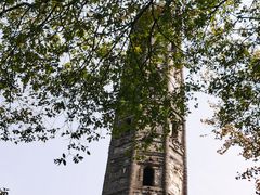 -上海佘山国家森林公园天马山园