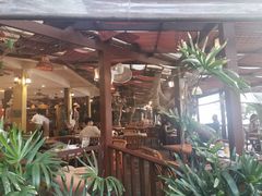 -卷心菜和避孕套餐厅(Pattaya)
