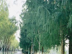 -滨湖塘西河公园