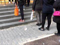 -鲍师傅糕点(江苏路店)