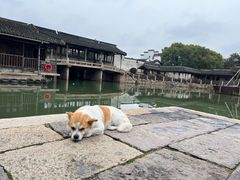 -乌镇东栅景区