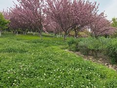 -白塘生态植物园