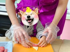 -豆初托育园 Baby Bean Day care Center