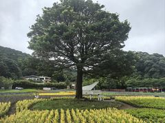 -广州市石门国家森林公园