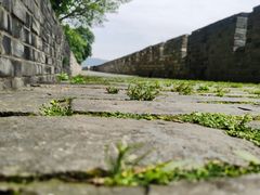 -南京城墙景区