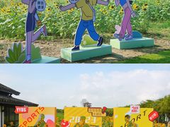 -杭州湾海上花田景区