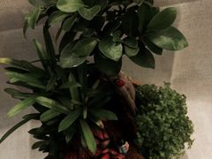 妃比花艺-妃比花艺(光启城时尚购物中心店)