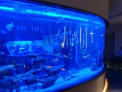 -上和臻品中国菜(花园街店)