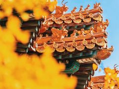 -故宫博物院(故宫)