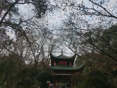 -岳麓山风景名胜区