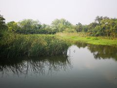 -木守西溪溪隐餐厅