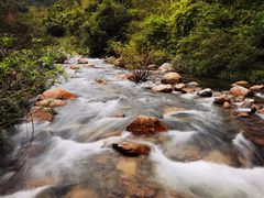-海南热带雨林国家公园吊罗山景区
