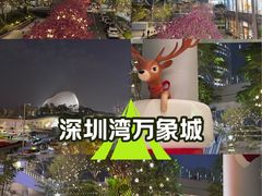 -深圳湾万象城(南山店)