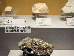 -湖南省地质博物馆