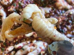 -黎里王记辣脚(黎里总店)