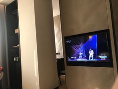 -成都峨眉雪芽大酒店