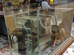 -巴依老爷新疆餐厅