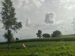 -茅兰沟国家森林公园