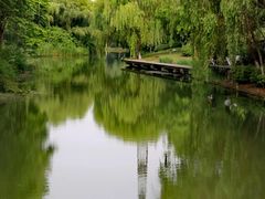 -昆山城市生态森林公园