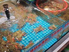 -和源祥·日照菜扛把子(万平口一店)